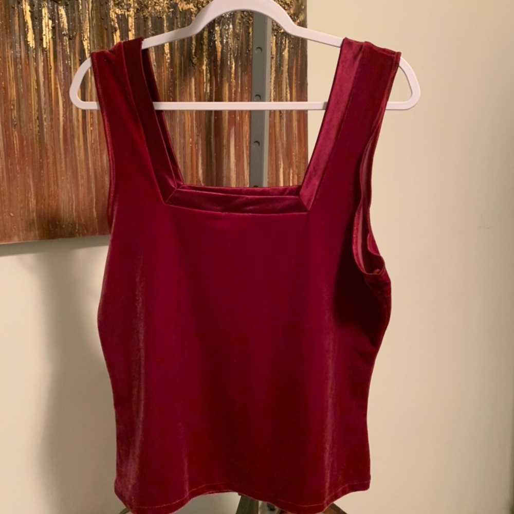 Vintage Sleeveless Crush Velvet Top